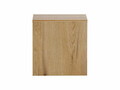 Dulap suspendat cu 1 usa, Nova Oak, Comad, 30x18.9x30 cm, PAL laminat, stejar coast evoke