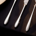 Set tacamuri 24 piese Amefa, Cuba, inox 18/10, argintiu