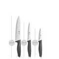 Set 3 cutite Amefa, Advantage, plastic/otel, negru