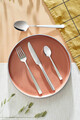Set tacamuri 60 piese Amefa, Martin, inox 18/10, argintiu