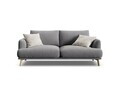 Canapea 2 locuri, Naomi, Micadoni Home, 170x95x75 cm, catifea, gri