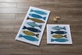 Set 2 covorase de baie Fishy, Confetti, 50x57 cm/57x100 cm, albastru