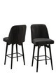 Set scaune 2 piese, Hanah Home, Evax, Negru