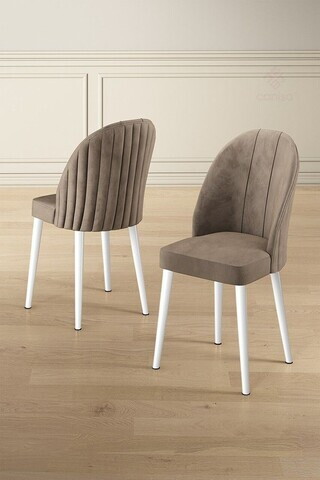 Set scaune 6 piese, Hanah Home, Mara, Cappuccino / Alb