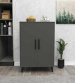 Dulap multifunctional, Hanah Home, 3 Raf 2 Kapak, 65x94.5x32 cm, Antracit