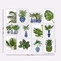 Set 12 tablouri decorative, 12MDF06, Lulu, 15x20 cm, plastic