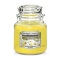 Lumanare parfumata in suport de sticla, Yankee Candle, 60 ore, 340 g, margarete/iasomie/cedru