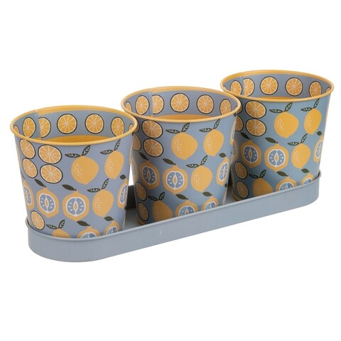 Set 3 ghivece si tavita, Lemon, Creaciones Meng, 28.5x10x10 cm