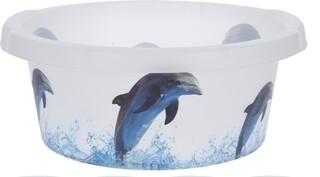 Dolphin