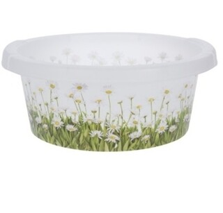 Chamomile