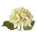 Hydrangea Gioiosa Művirág, Bizzotto, 52 cm, zöld