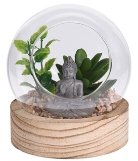 Buddha Crassula