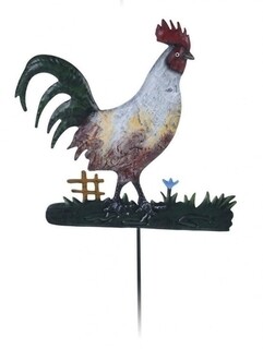Rooster