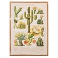 Tablou Cactus, Creaciones Meng, iuta/brad chinezesc, 50x70 cm