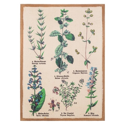 Tablou Plants, Creaciones Meng, iuta/brad chinezesc, 50x70 cm