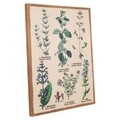 Tablou Plants, Creaciones Meng, iuta/brad chinezesc, 50x70 cm