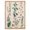 Tablou Plants, Creaciones Meng, iuta/brad chinezesc, 50x70 cm