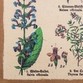 Tablou Plants, Creaciones Meng, iuta/brad chinezesc, 50x70 cm