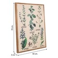 Tablou Plants, Creaciones Meng, iuta/brad chinezesc, 50x70 cm