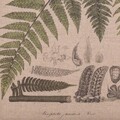 Tablou Exotic Leaves, Creaciones Meng, iuta/brad chinezesc, 33x43 cm