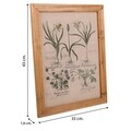 Tablou Botanical, Creaciones Meng, iuta/brad chinezesc, 33x43 cm