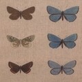 Tablou Buttefly, Creaciones Meng, iuta/brad chinezesc, 33x43 cm