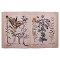 Decoratiune de perete Book Shape Herb, Creaciones Meng, 45x28 cm