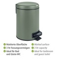 Cos de gunoi, Wenko, Leman, 17 x 22.5 x 25 cm, 3 L, inox/polipropilena, verde inchis