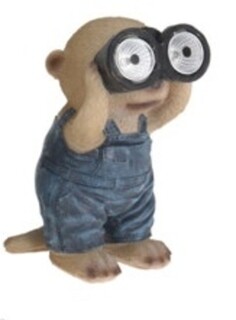 Mole