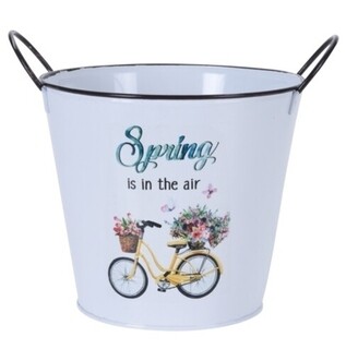 Spring is in the air