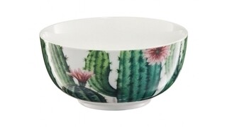 Multicolor, Bol Cactus