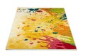 Covor Zamira, Decorino, 160x235 cm, polipropilena, multicolor