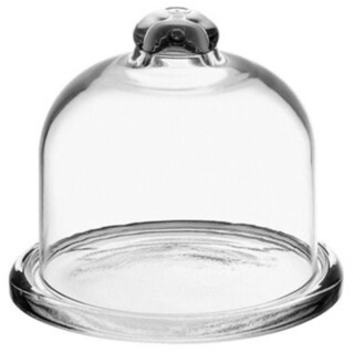 Transparent, Suport citrice