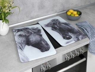 Multicolor, Horses