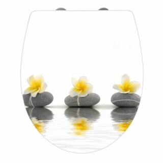 Stones with flowers