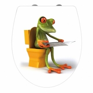 Frog Newa