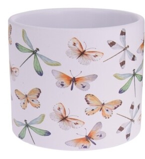 Butterfly and Dragonfly