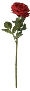 Rosu