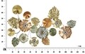 Decoratiune de perete Leaf, Mauro Ferretti, 117x74 cm, fier, multicolor