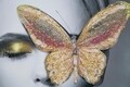 Tablou decorativ Butterfly -B, Mauro Ferretti, 80x120 cm, canvas, multicolor
