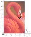 Tablou decorativ Flamingo -A, Mauro Ferretti, 80x120 cm, canvas, multicolor