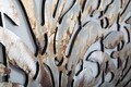 Tablou decorativ Tree Alluminium -C, Mauro Ferretti, 120x60 cm, canvas pictat manual, multicolor