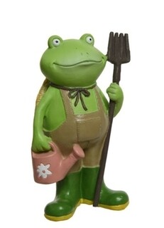 Frog Boy