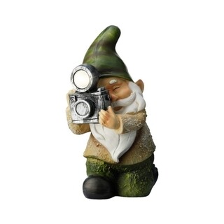 Gnome w camera