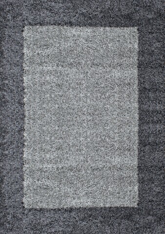 Covor Shaggy Louis Border, Decorino, 60x110 cm, polipropilena, gri