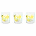 Set 3 pahare, Fresh Summer, 220 ml, sticla, transparent/multicolor