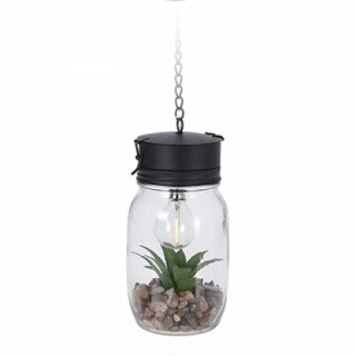 Aloe