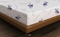 Cearceaf de pat cu elastic, 140x190 cm, 100% bumbac ranforce, Beverly Hills Polo Club, BHPC 029, albastru
