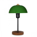Lampa de masa, AYD-2796, Insignio, 23 x 12 x 38 cm, 1 x E27, 60W, verde