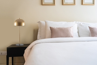 Auriu/Negru, Can - NT - 134